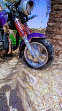 ستوته • صقر • ٢٠١٦