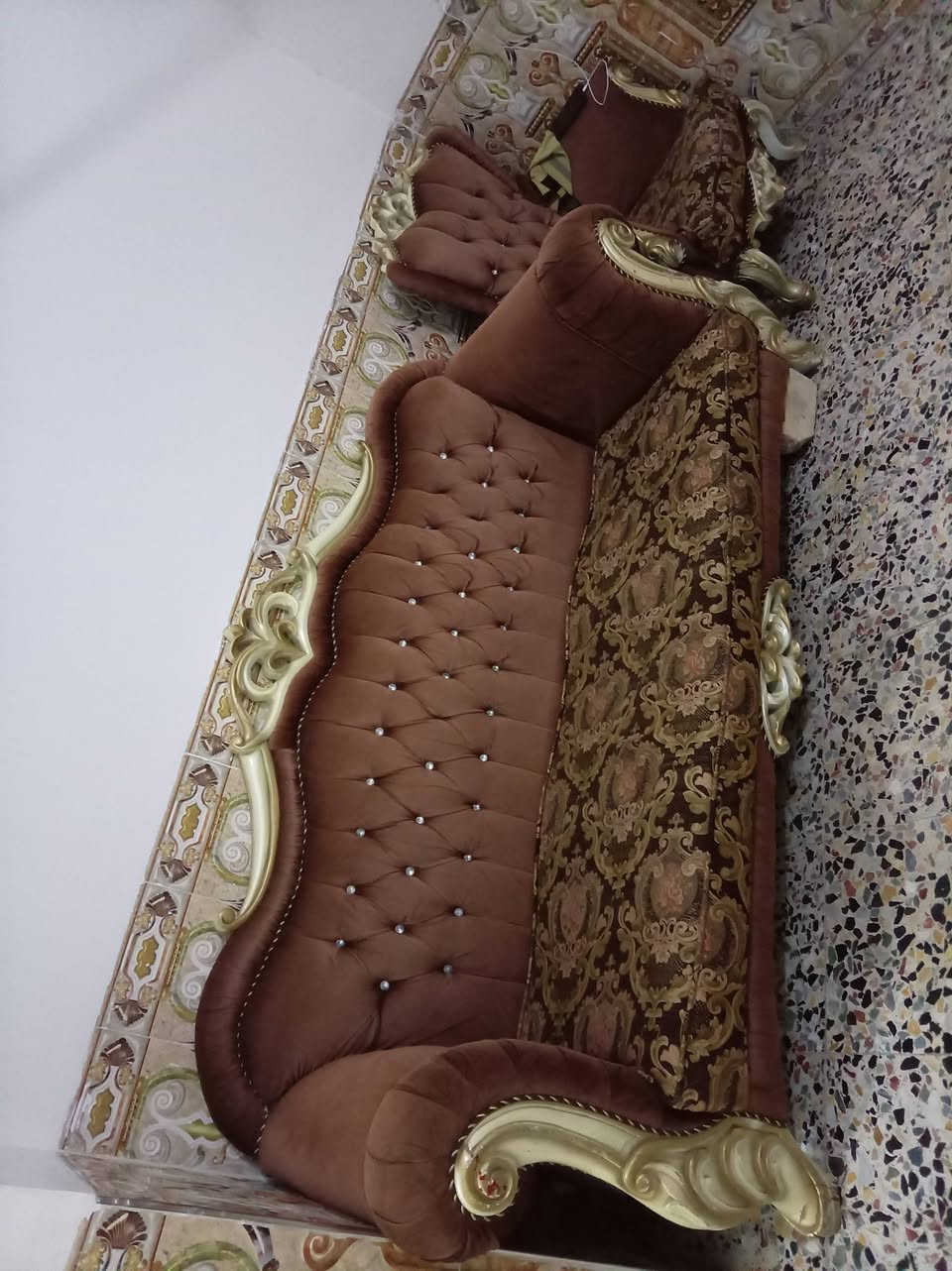 تخم للبيع نظيف
