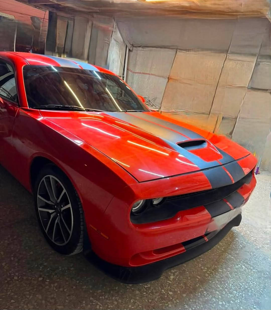 دوج جالنجر R/T 5700 سوبر تراك باك
موديل 2022 لون مميز برتقالي 
رقم اربيل شمالي 
ماشية 21 الف بعدها زيرو 
فول مواصفات عد الفتحة فقط 

الاضافات عليها بلكات ريسنك ولف حماوة تايرات جدد 
المواصفات
1- كشنات كنتارة
2- كشنات تدفئة تبريد
3- خزن ميموري 3 وضعيات
4- كشنات كهرباء 
5- ستيرن كهرباء ينزل ويصعد
6- حساسات خلفية وجانبية 
7- رادار جانبي
8- مري قلاب عند الرجوع الى الخلف 
9- نقاط عمياء في المري مع مانع ضباب 
10- لايتات زنون بلاد 
11- سماعات هارمن كاردن
12- شاشة كبيرة مع وضعيات سبورت
13- تشغيل عن بعد 
14- كزوز دبات سود بلاد 
السيارة ستوك للأخير ماملعوب بيها ابد 
بيها فقط شبر صبغ في الجاملغ الايمن الامامي
بدون ايرباك
مكان السيارة البصرة
هاتف ***********
