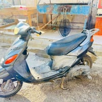 دولفين • نضيفه • صوته ناعم