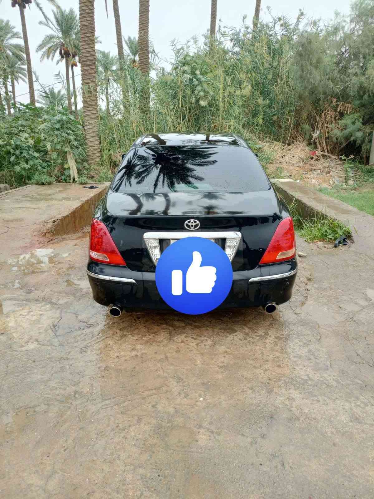 ماجستا • طبق الأصل • شمالي
