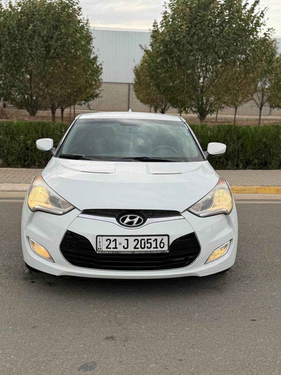 فيلوستر • ٢٠١٧ • بلا بويه