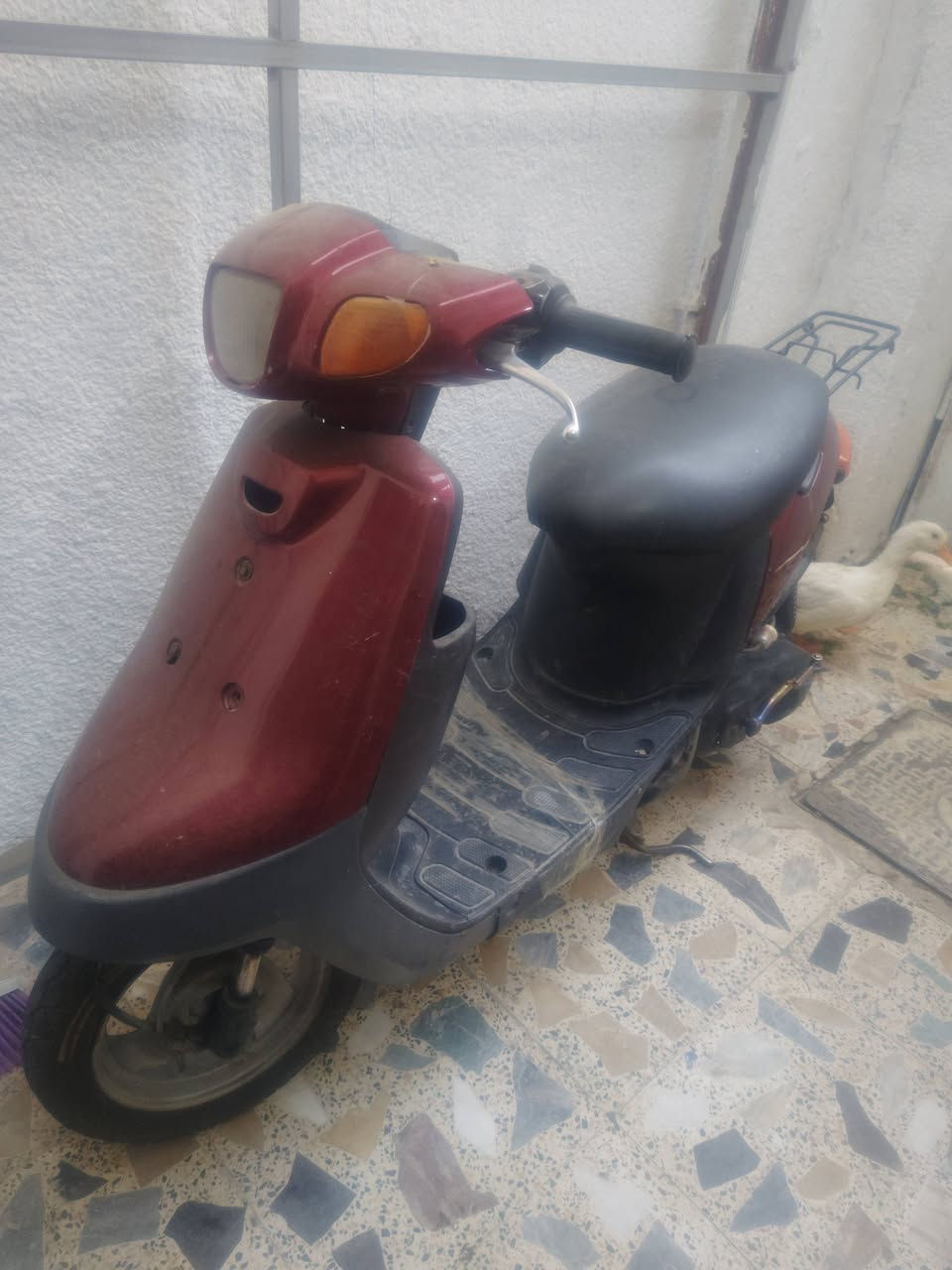 دراجة بطه 60 للبيع اخذته قبل شهر ب250 و عفته منوره السادس رسبت ب5 مواد بيهه نقص باتري و كم شغله سعر 200 الف مكاني الحرية الثانية مقابيل مطعم كص علي الشهير ***********
