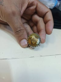 للبيع داودي معطف قيم وخذ  ٠٧٧٧٢٧٨٥٤٦٥