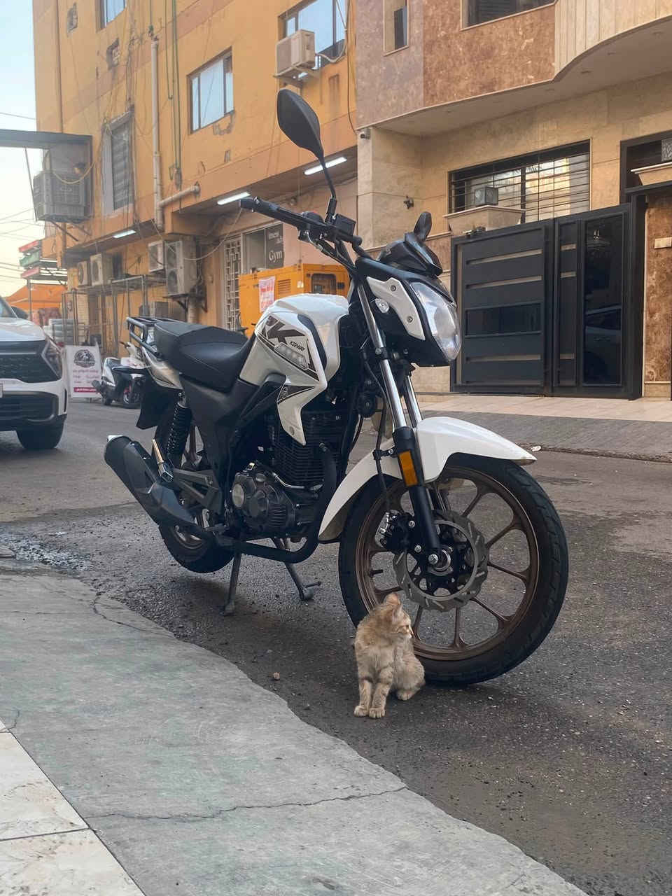 دراجة RK200cc 2026 الدراجة زيرو ممشاها ١٣٠٠ الدراجة وكالة عجلة الخليج وبعدها تحت الضمان لحد الان باقي ١٠ اشهر او ٢٠ الف كيلو على المكينة والكير بيها رقم وسنوية اربيل تروح لاربيل وتحويل مباشر بأسمك قبل نهاية ٢٠٢٦ 
السعر مليونين و٧٠٠ الف
سبب البيع اريد اشتري بطح لحد يصير لوتي ويكسر بالسعر الدراجة زيرو وبعدها تحت الضمان فقط تروح للشركة تسوي مكاتبة بأسمك مابيها اي نقص حتى دهن مصارلي يومين من مبدله 
المكان:كورنيش الكاظمية مقابل زمزم فرع مطعم الحيدري
للتواصل ***********

