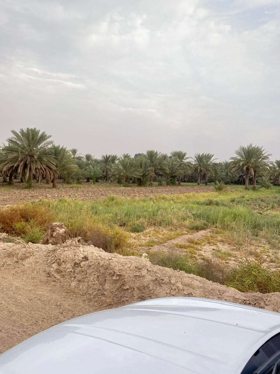 ٢ دونم • واجهة ٤٢م • طابو سند