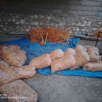 هونر X9b • ١٠٨ ميجابكسل • مفتوح