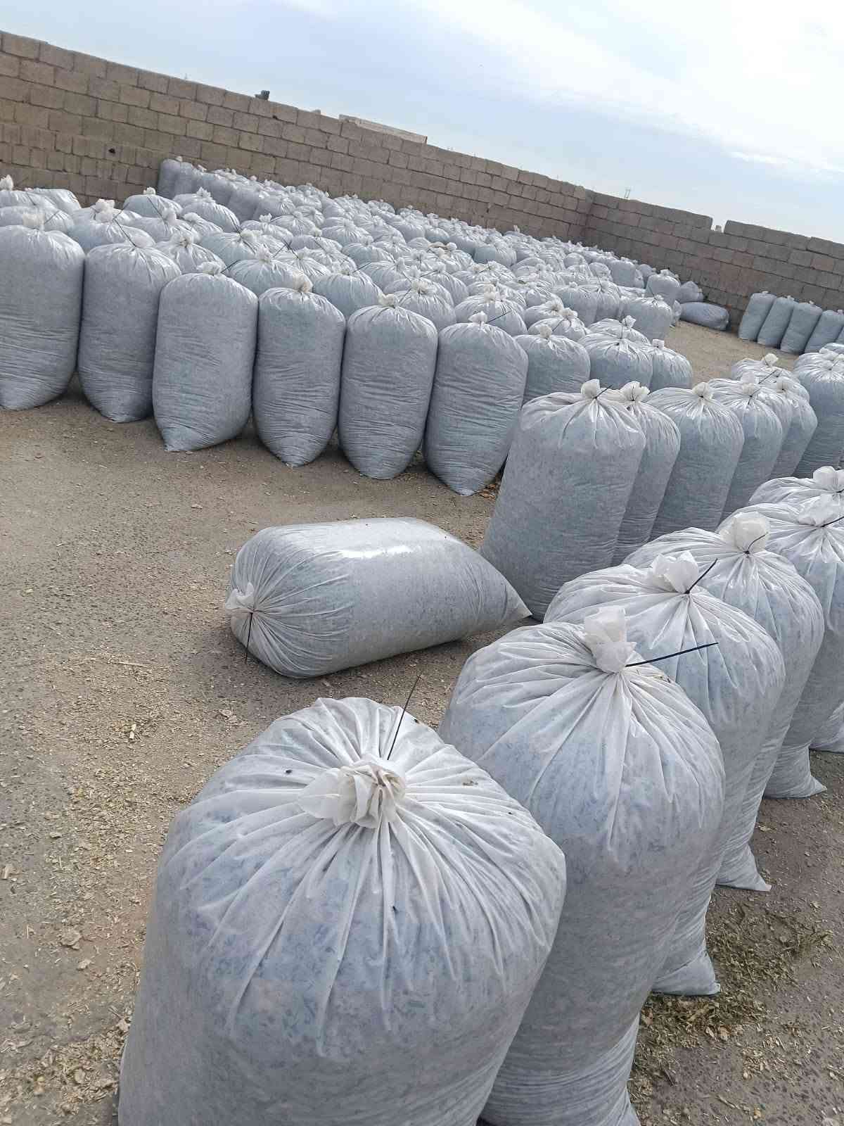 تم تجهيز طلبيات سيلاج الذرة عالي
الجودة للاخوانا في محافظاتنا العراقيه لهذا اليوم بتاريخ3/10/2026 🌾
​تعلن [مكتب وادارة ابو سجاد ] عن توفر سيلاج ذرة ممتاز بأعلى المواصفات والقيم الغذائية، بنسبة حبوب عالية  الجودة والنظافة لفترات طويلة. يساهم منتجنا بشكل مباشر في زيادة إنتاج الحليب واللحم مع توفير ممتاز في تكاليف الأعلاف. نوفر كميات جملة ومفرد بموازين دقيقة مع خدمة التوصيل والتحميل المباشر إلى جميع المحافظات  لجميع المزارعين ومربي الحلال.
📞 للحجز والاستفسار: ***********
***********
