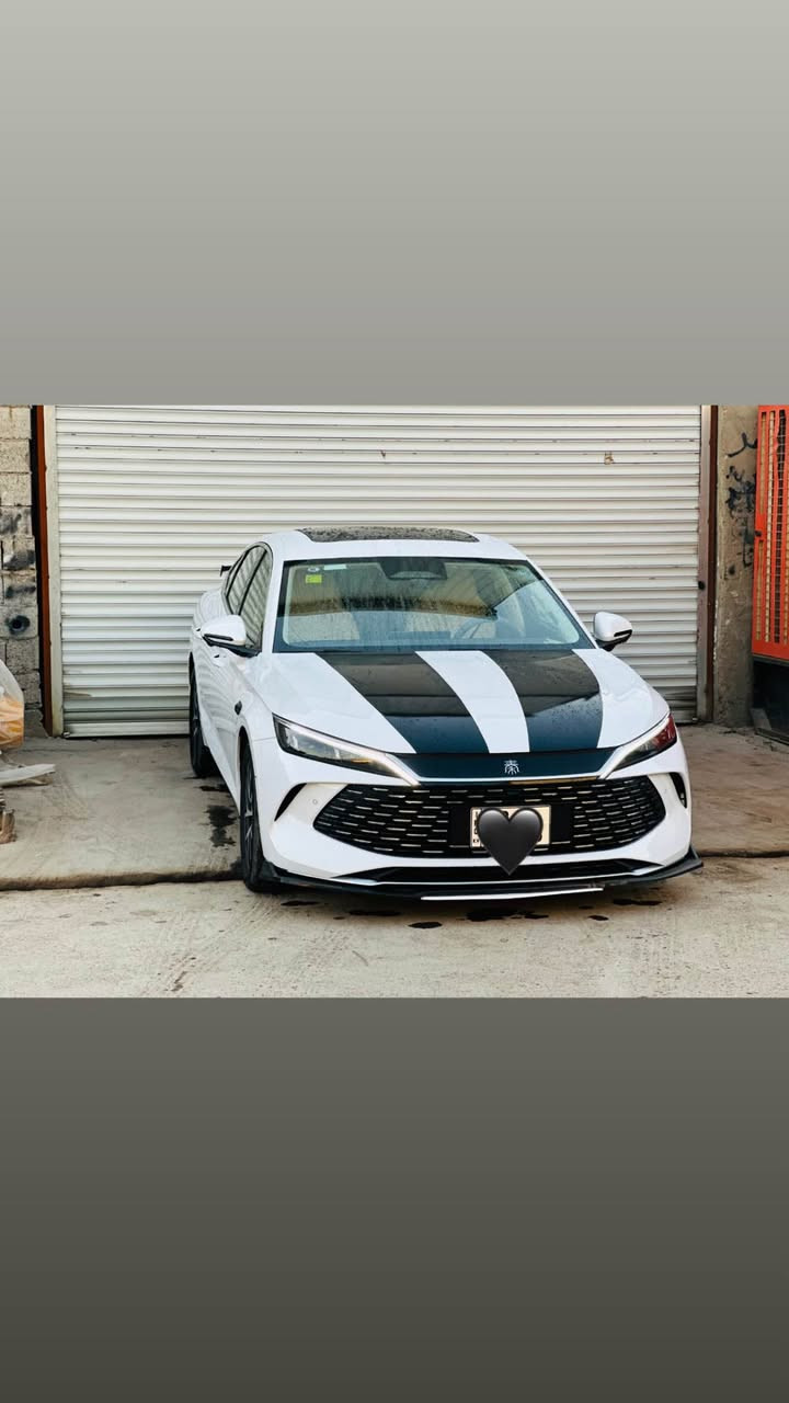 فول فول • بدون صبوغ • رقم اربيل