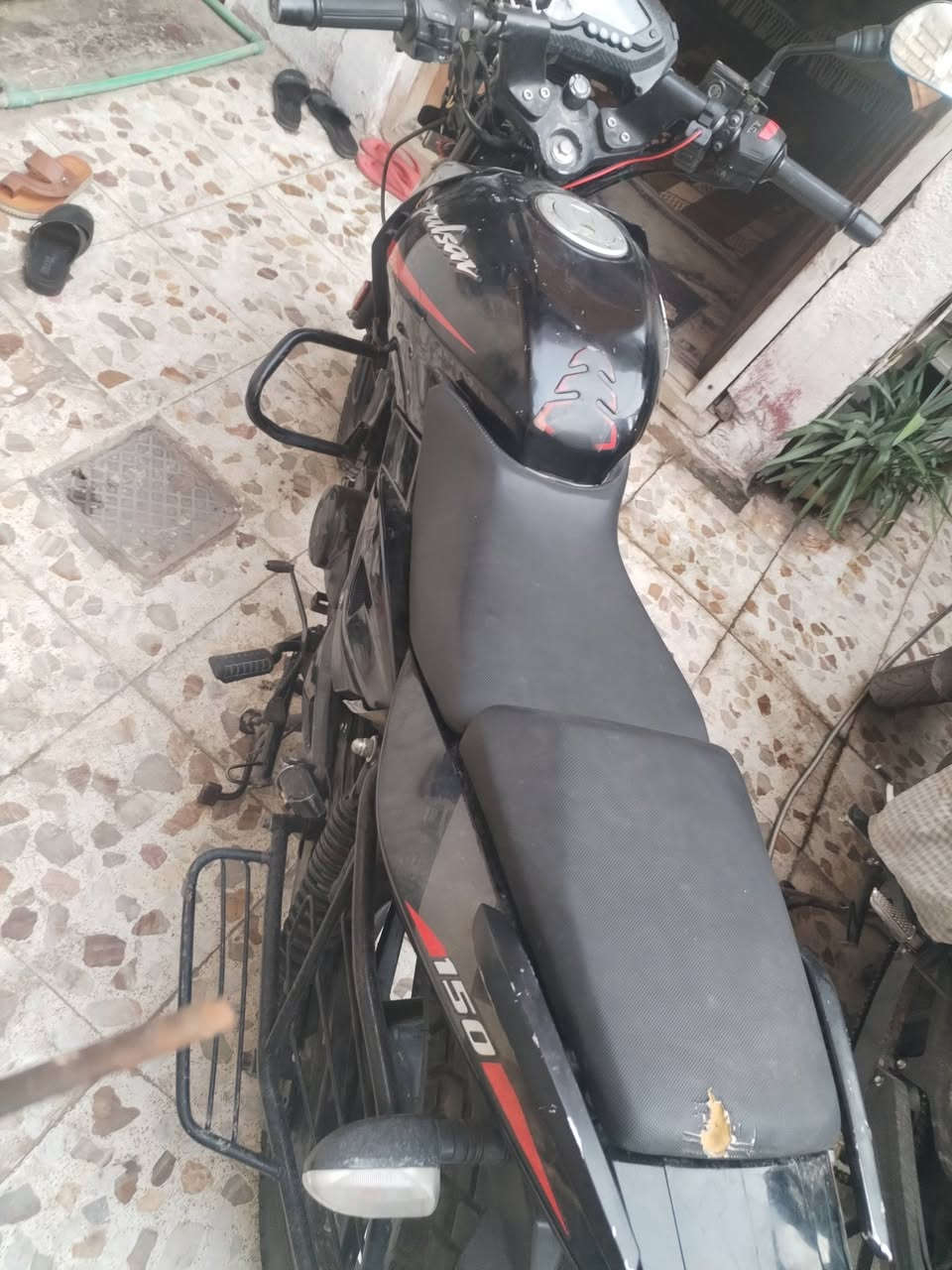 بولسر • موديل ٢٣ • زنجيل