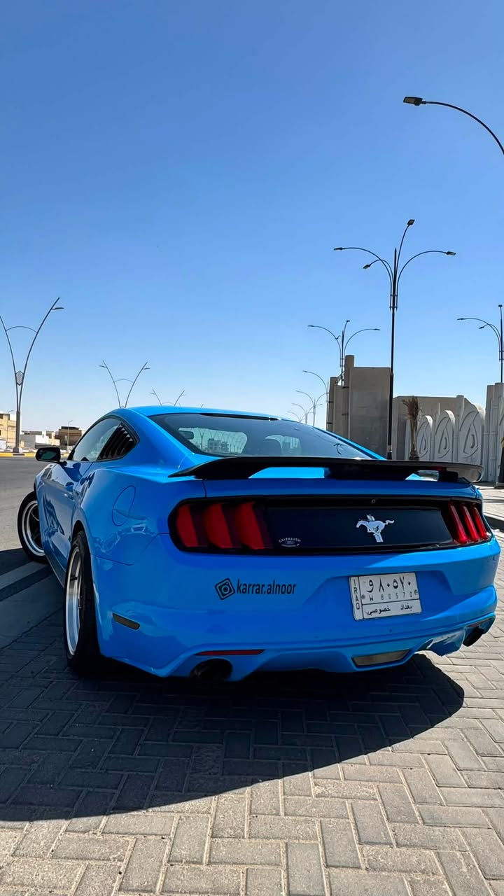 موستنك 6 سلندر
موديل 2017 
لون مميز 💙
عليه دبات HT power
ويل ويلد

محرك گير كهربائيات كفالة 
لغود شواصي كفالة 

بيه 3 قطع سطحيات بدون دواخل 

تبديل بنيد بحادث امريكا و تصليح باب و جاملغ بالعراق 
مثل ما موضح بالسونار 

السونار بتاريخ 2026/6/16

حادث امريكا و حادث العراق و رقم الشاصي موجودات بالصور 

الحادثين سطحيات 

ايرباك استيرن فقط 

ماشية 64 الف ميل 

السيارة رقم بغداد بأسمي 

مكان السيارة البصرة 

لتواصل ***********

السعر 138
