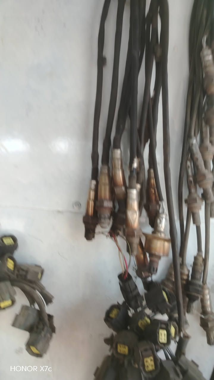 حساس صالنصه
كوري وياباني
جمله
***********
وبي واتساب
