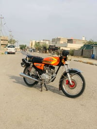سونلك • ٢٠٢٤ • كفالة