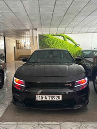 تشارجر SXT • ٢٠١٨ • ضرر خلفي
