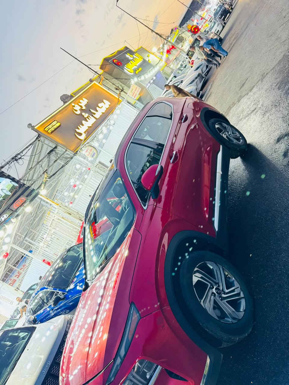 سنتافيا • ٢٠٢٣ • رقم شمالي