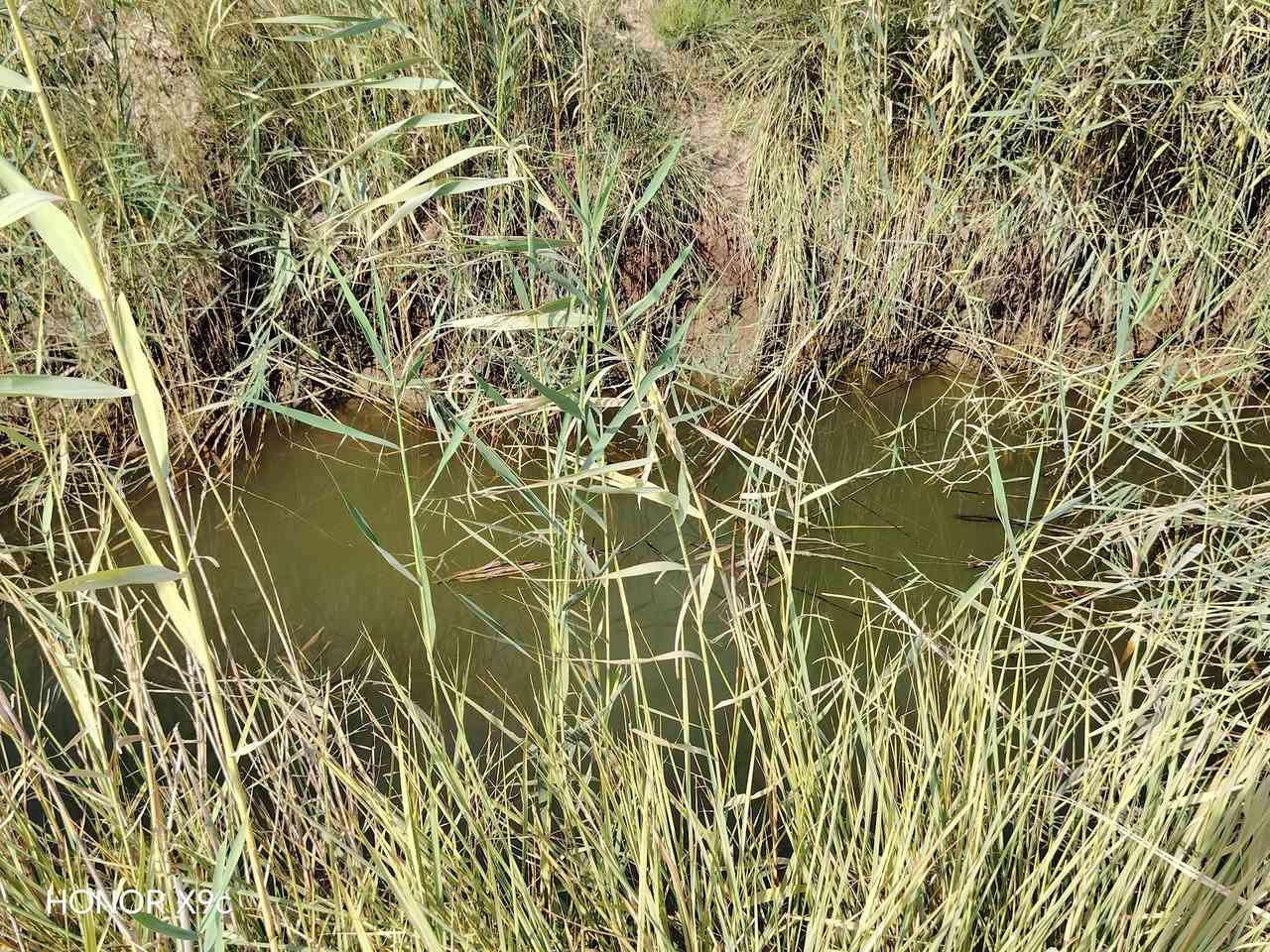 بسم الله الرحمن الرحيم
دونم للبيع صوب بني ركاب
طريق المشايه/شارع ال حامي
خدمات كاملة
كهرباء وماء 
شارع تبليط 
السعر 15 مليون وبي مجال بسيط
للتواصل الاتصال على الارقام
***********
***********
أو مراسلة الصفحة
#هادي_الحجيمي

نص مكتوب في الصور:
- HONOR X9C