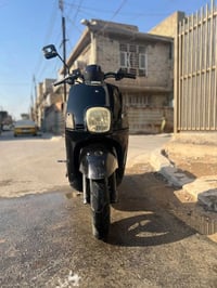 بوليس نوزل • بيتنجاني • اوراق كامله
