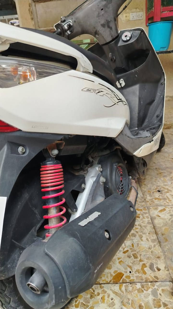 ثعلب • جيتي ار • ما مفتوحه