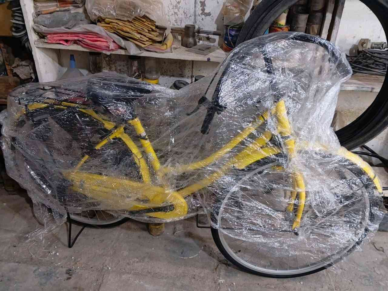 بيسكلة • بيدي • موديل ١٩
