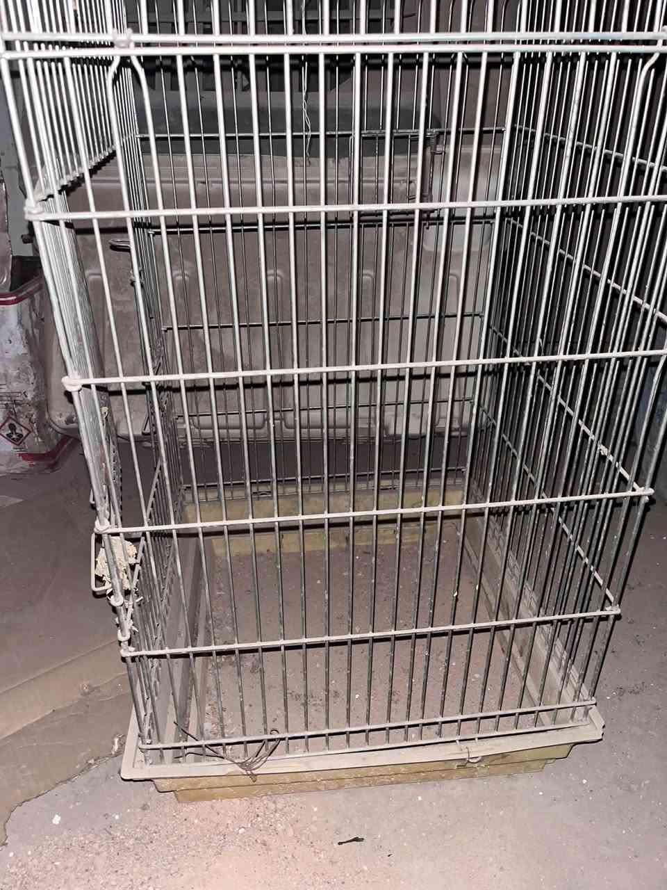 سلام عليكم قفص مال بلابل جبير سعرة ب30 وبي مجال مكاني حسينية الراشدية رقم ***********
