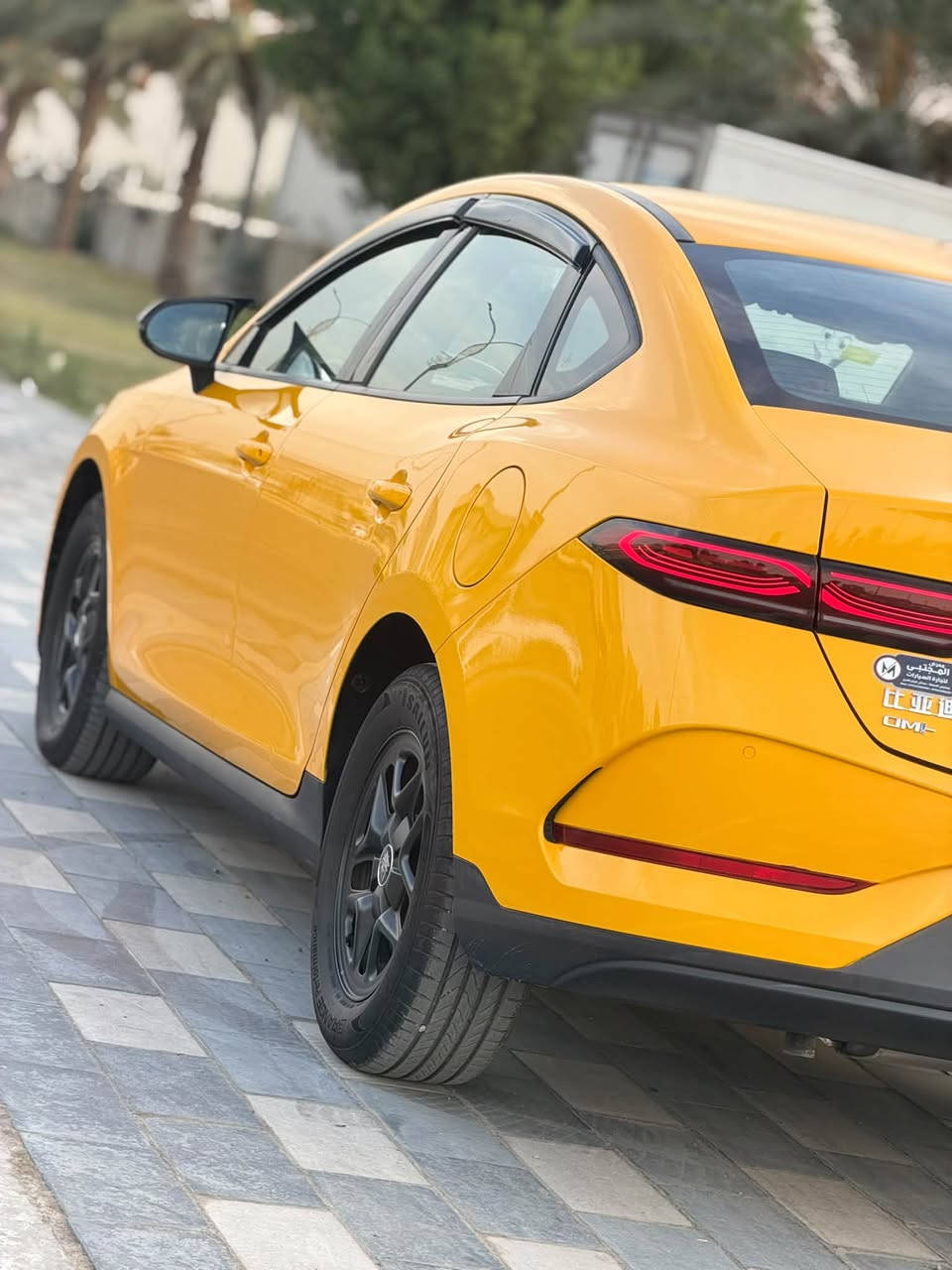 BYD كن بلاس • ٢٠٢٥ • اجرة