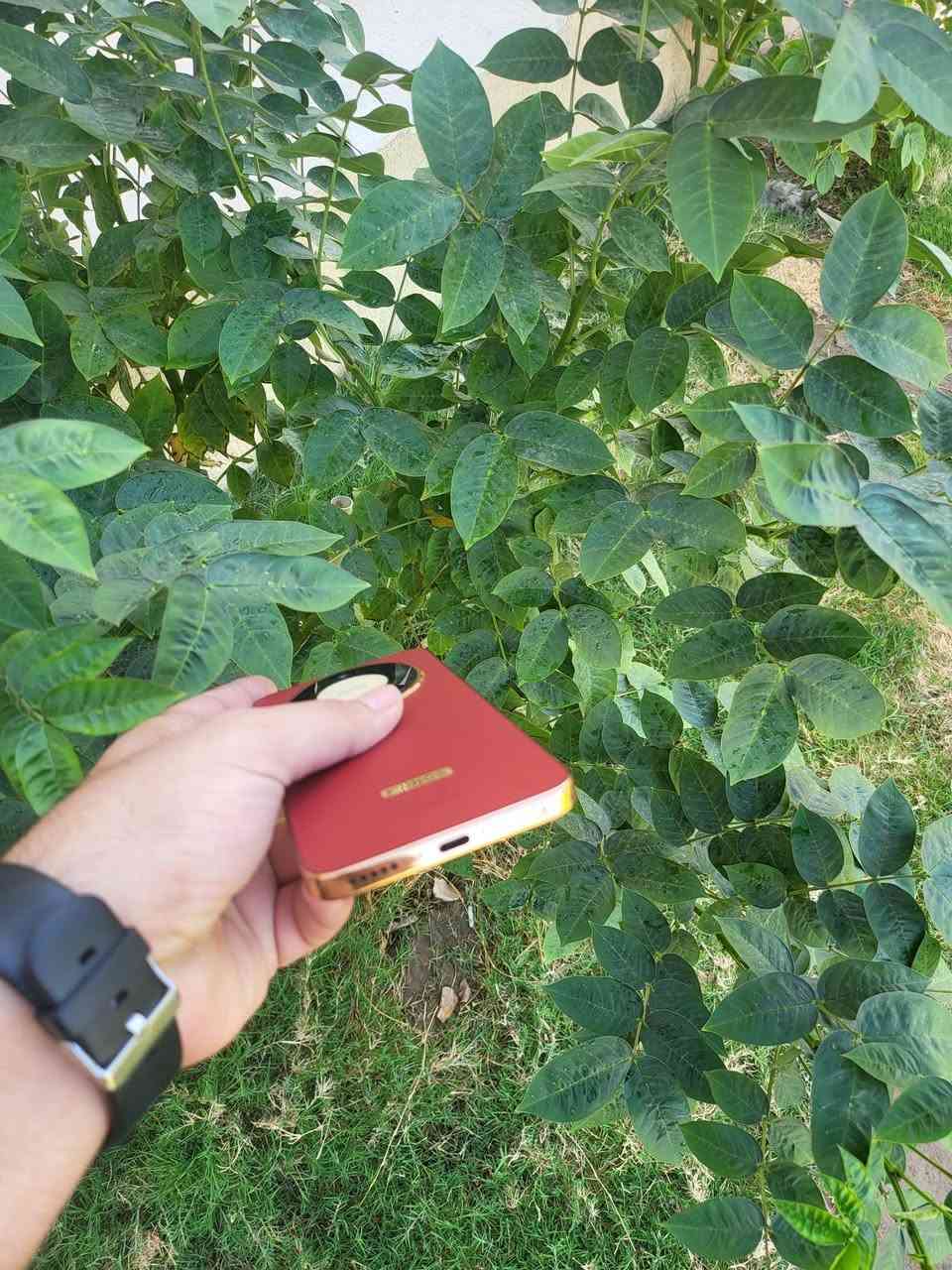 للبيع هونر X9D
💾256 
العشوائيه 12
موصفاته معروفه وقويه
بلادي جهاز فول نضافه شرط مامفتوح ولا بي شخط
الاستفسار اتصل *********** او مراسله صفحه خاص مفتوح
