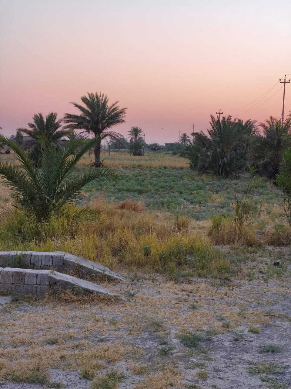 سلام عليكم ارض زراعيه للبيع سند117
في بغداد سبع البور منطقه البصام قريه 6 كويمه 

مساحه 3 دوانم ونص وبيهن بيت هيكل لحد رباط مساحته 275 وراها بيت مشتمل صغير 
خدمات _ ماء شرب _ كهرباء _شارع تبليط من الجهتين 
الاستفسار تصال 
*********** بي واتساب 
***********
