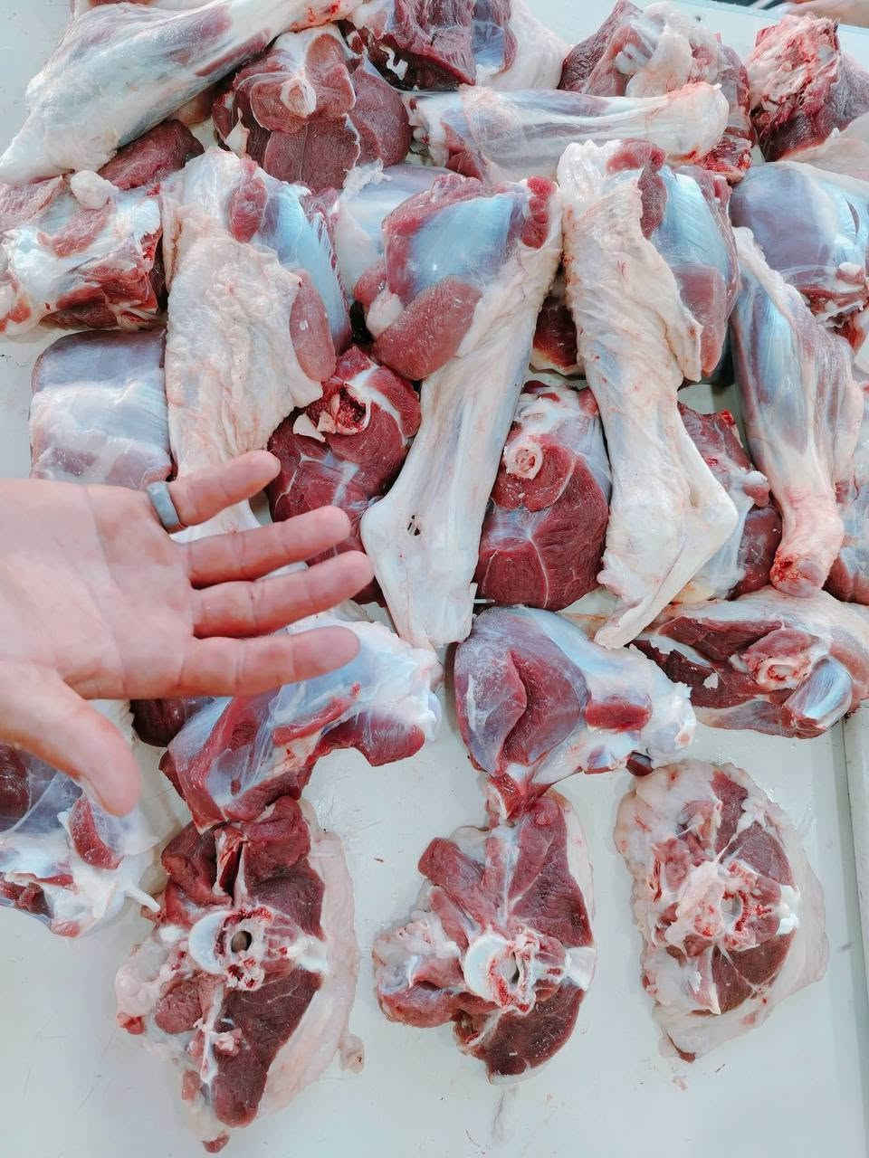 طلي خالص • مثروم • شارع ابو النسوره