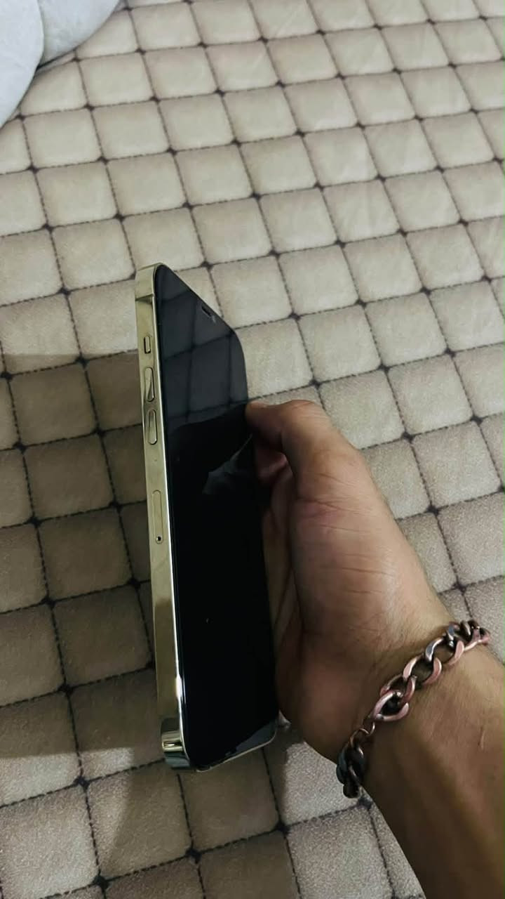 آيفون ١٢ برو ماكس • مساحة ٢٥٦ • بطارية ٧٧