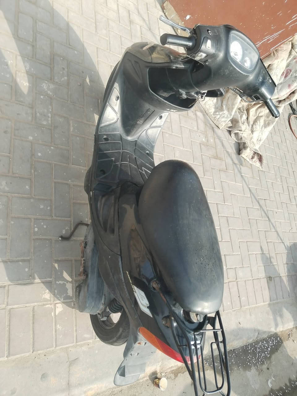 بيجي • فحل • نضافه