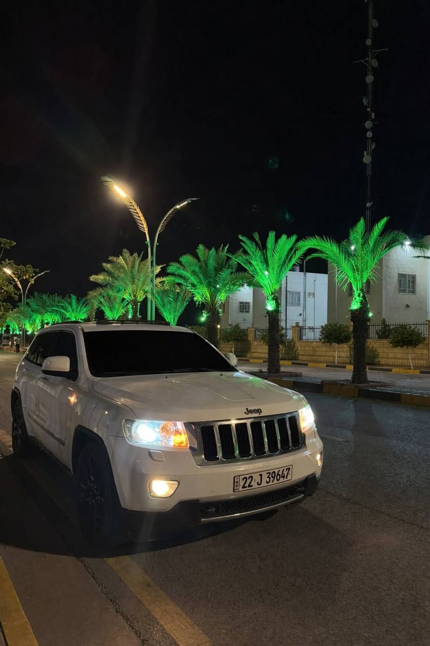 لاريدو • ٢٠١٣ • ضرر ربع