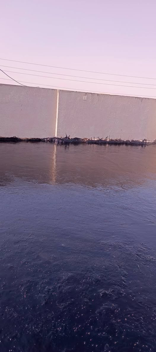 عزل الأسطح • إيزوگام • بكر وإخوانه