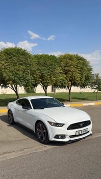 موستانغ V6 • ٢٠١٦ • أربيل