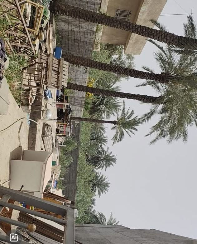 قطعه ارض للبيع مساحه440مترواجهه 11مترونزال 40مترعنوان بغداد الكرخ. نهايه شارع الشهداء تعبر الكنطره على اليسار حوالي الف متر حسينيه ريحانه الرسول بفرعه امسيجه مصبوب بيها رفت استفسار اتصل على الرقم ***********يوجدواتساب
