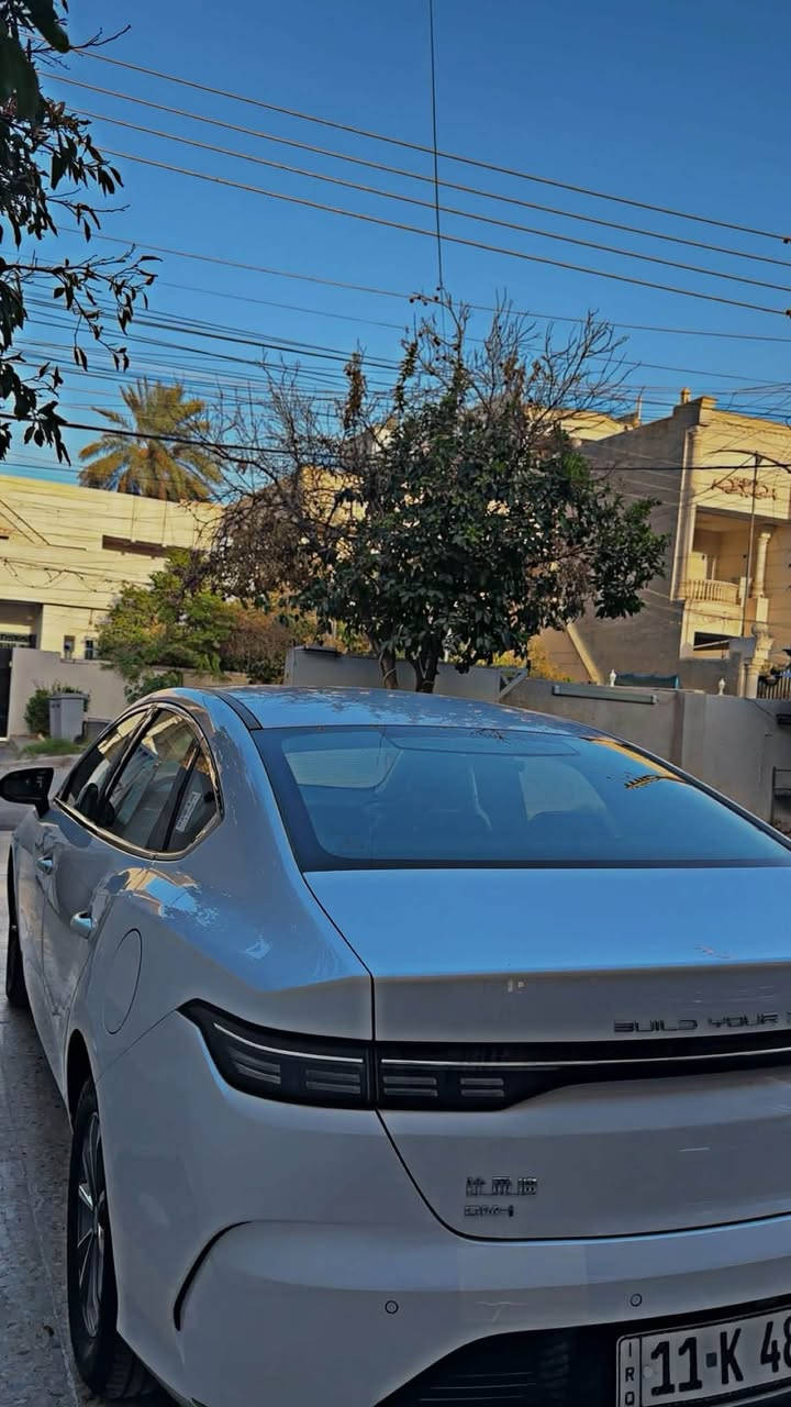 دسترويل • ٢٠٢٥ • مكفولة