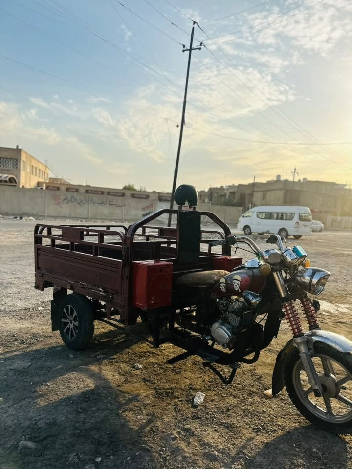 ستوته • ٢٠١٩ • صقر