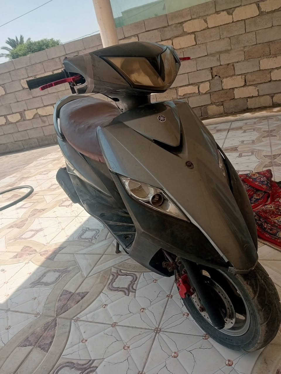 السلام عليكم ماكس ثعلب للبيع الشراي يتصل ***********
