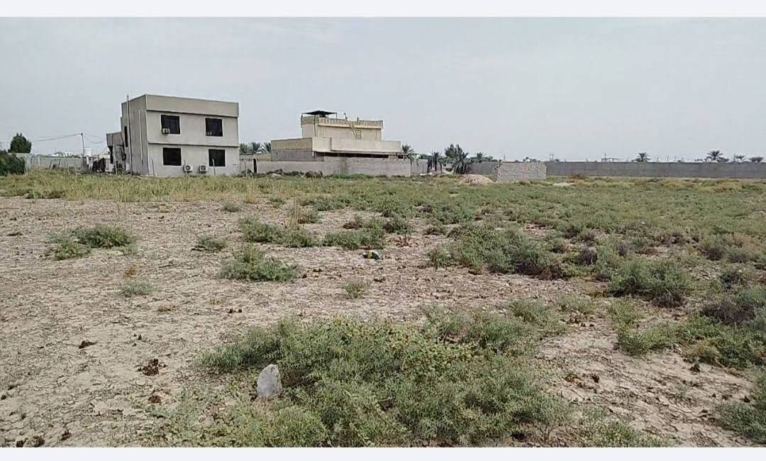 دونم • منطقة البعيثه • خلف المستوصف