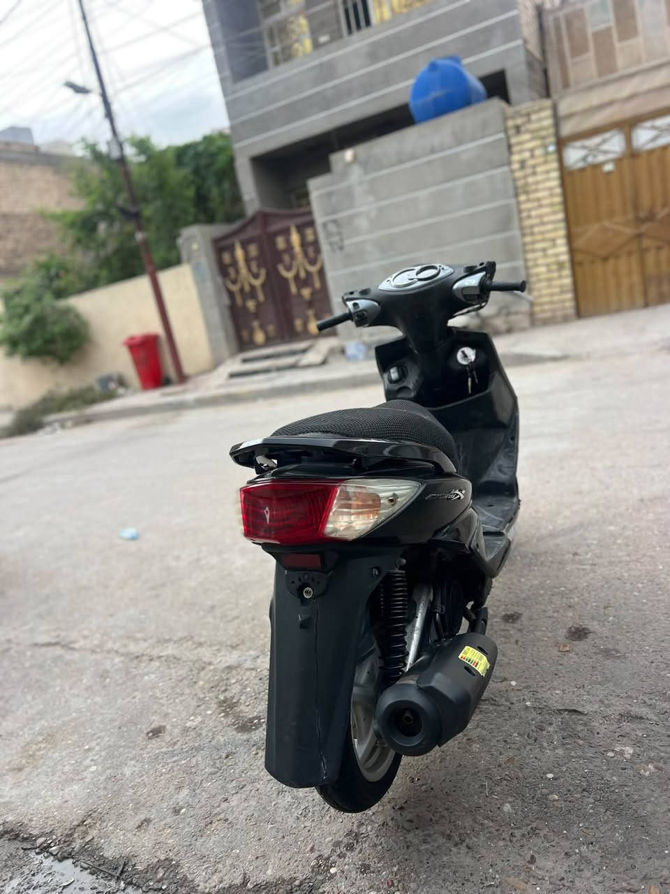 سكنس فحل • مكينه بالكارتون • كفاله
