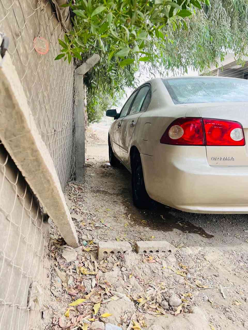 اوبتما • ٢٠٠٦ • بابل