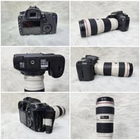 كانون 7D • عدسة 70-200 f/4 • كروب سينسور