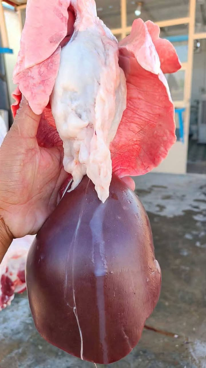 لحم طلي • توصيل • الفاطمي