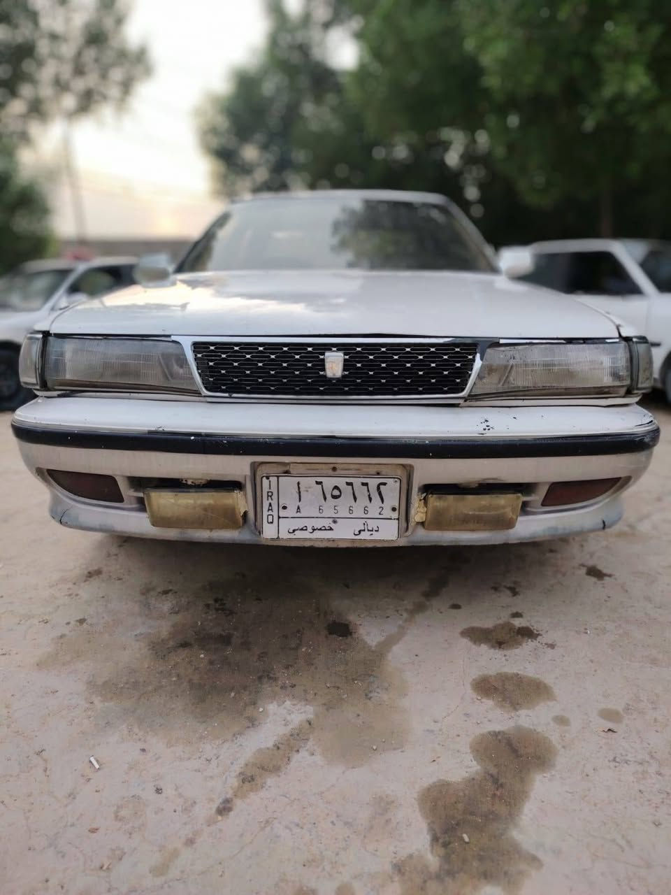 شيرز • ٩٤ • رقم ديالى