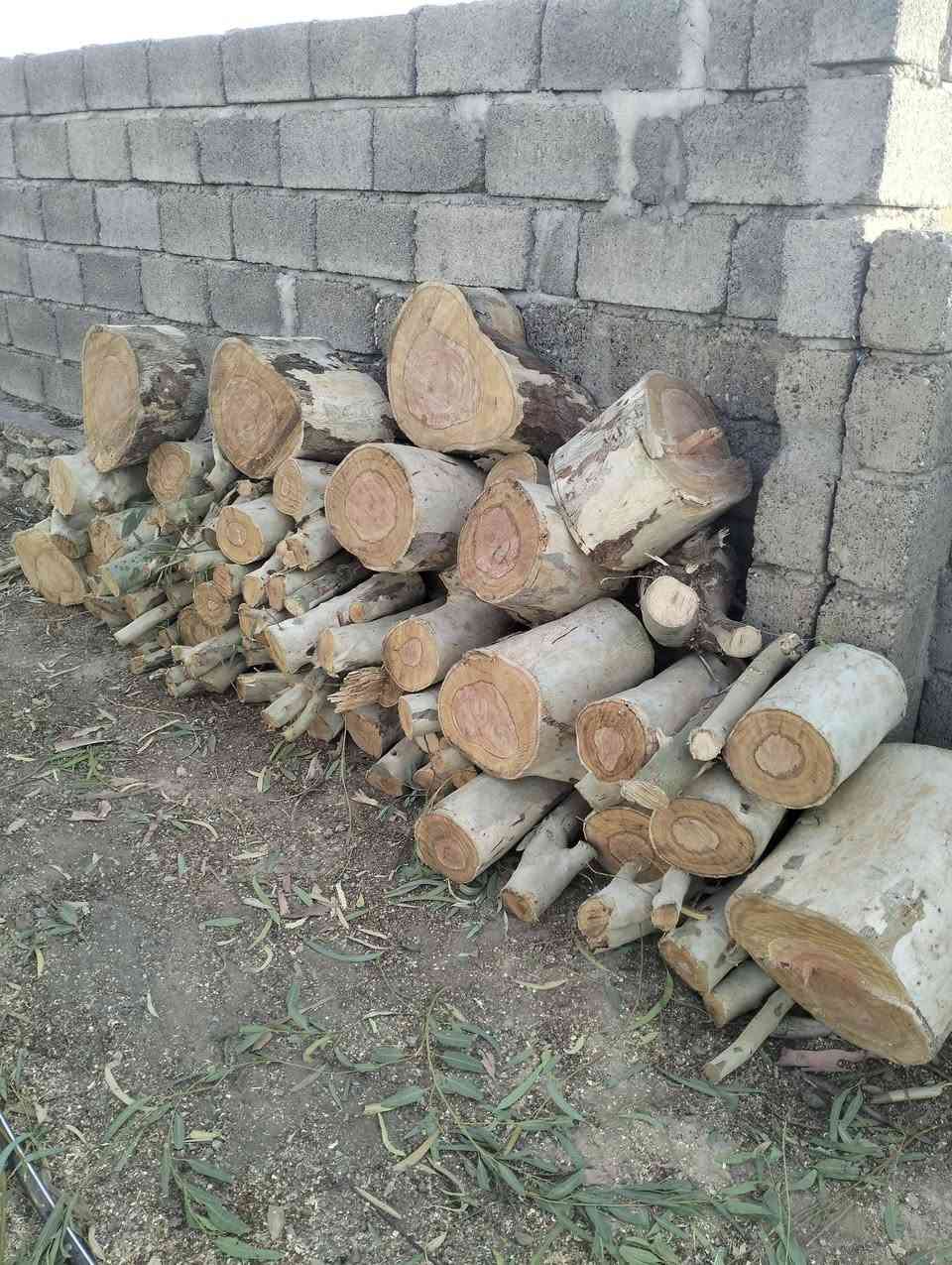 السلام عليكم عندك تقليم سجر تكريب نخيل قص حدايق اتصل ***********

