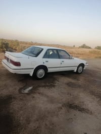كريسيدا • ١٩٩٣ • رقم نجف