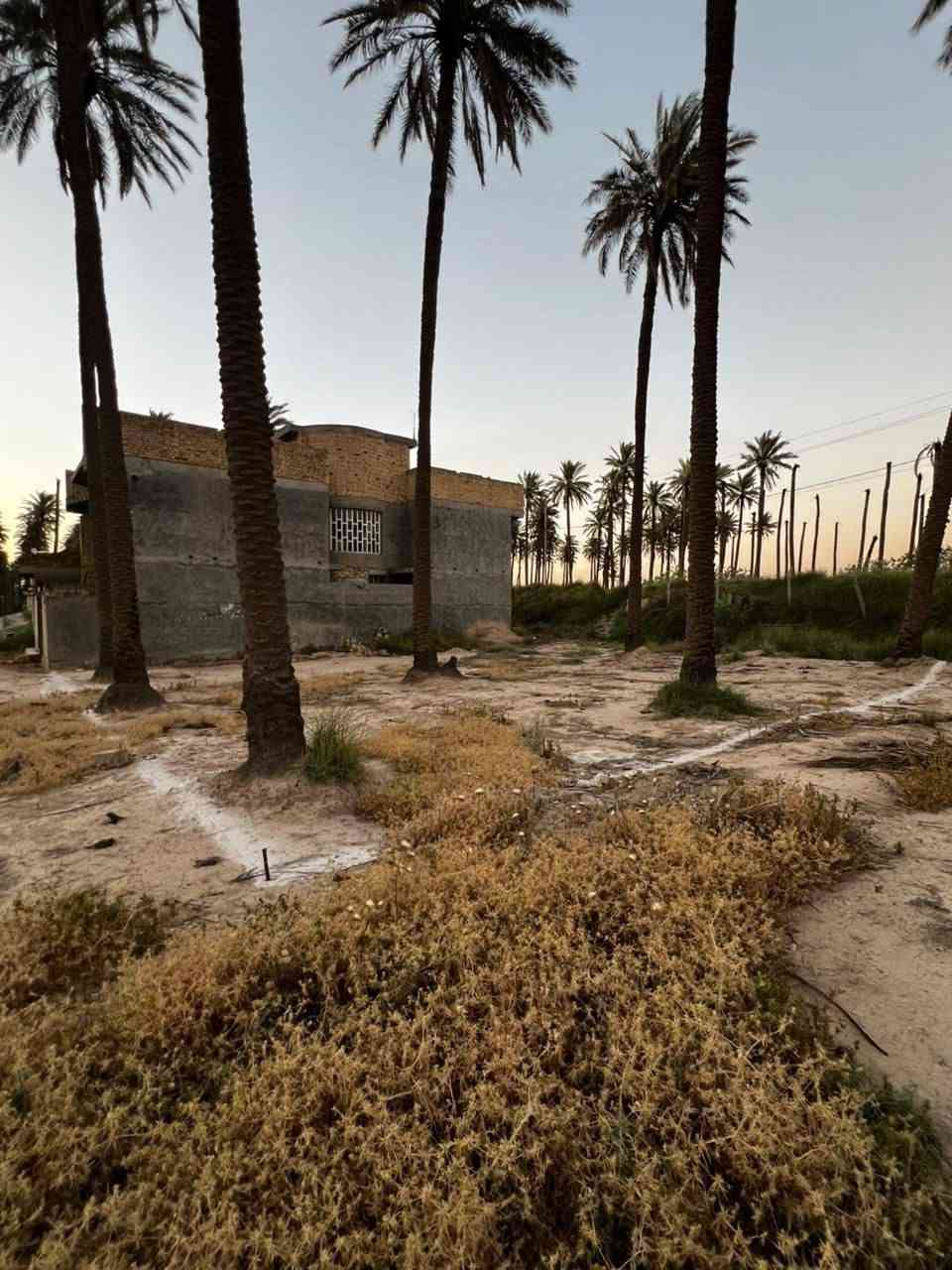الجسر الفرنسي • ٥٠٠م • سند ٢٥