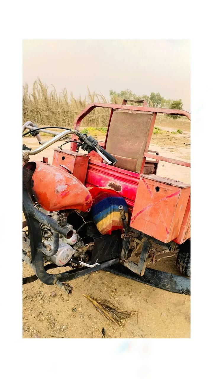 ستوته • ٢٠١٥ • كفالة عامه