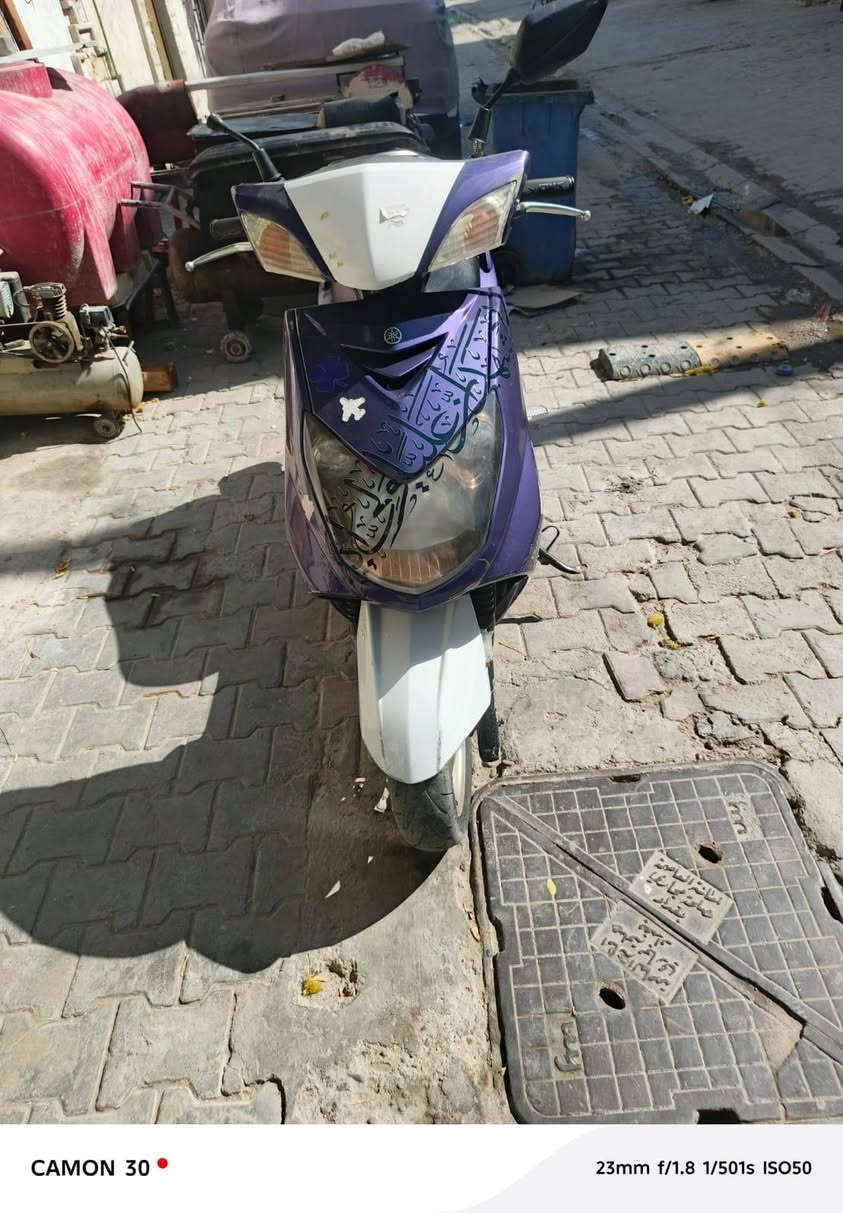 سكنس فحل نوزل مكفولة للبيع مستعجل عليها السعر مليون الحرية  ***********
