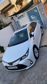 كورلا جيهان • ٢٠٢٤ • موصل