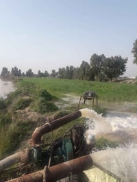 ١٥ دونم • شاطي دجلة • قرية الجيازنه
